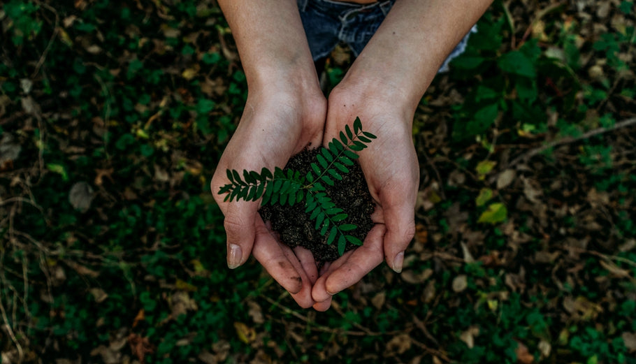 The Ultimate Guide to Eco-friendly Organic Haircare for Strengthened Locks