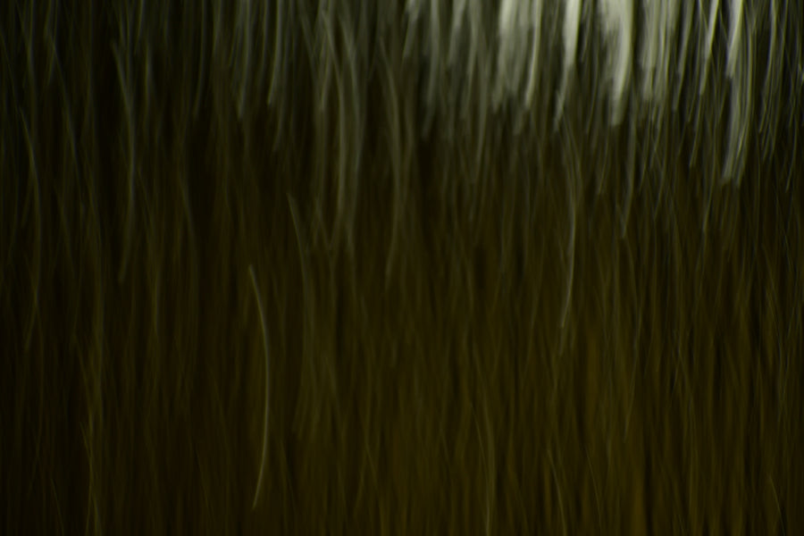 Unlock the Power of Nature with Proven Organic Haircare Methods