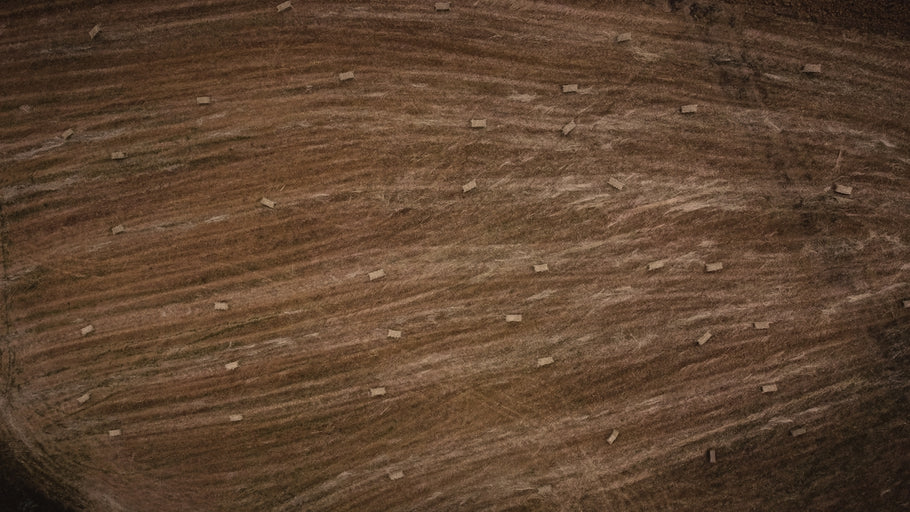 Essential Natural Skincare Secrets for Age-defying Beauty