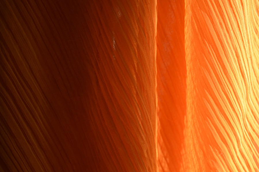 Debunking Myths About Natural Hair Growth and Skincare Techniques