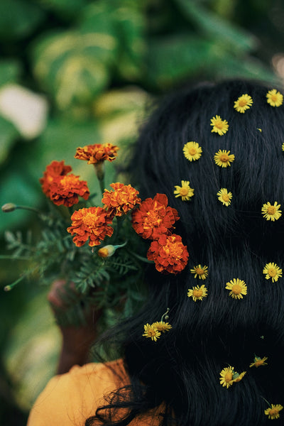 Solving Common Hair Problems with Botanical Ingredients