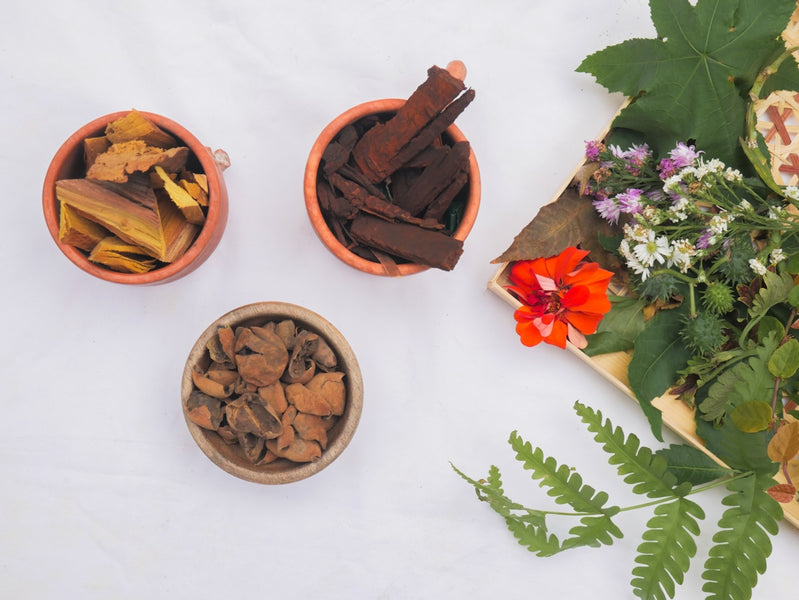 Key Differences Between Botanical Skincare and Traditional Products