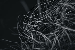 A black and white photo of a woman's hair