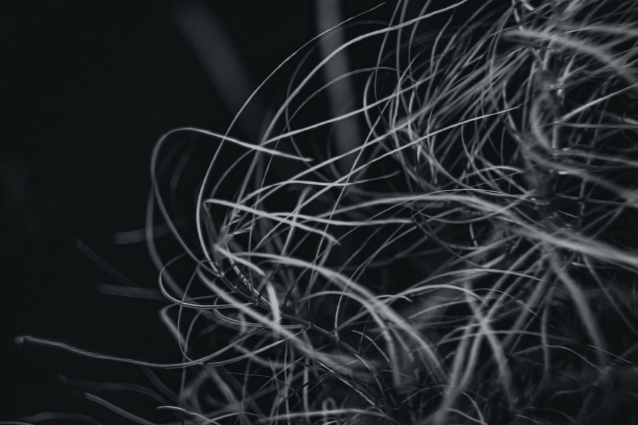 How Hairstyling Can Enhance Hair Growth Naturally