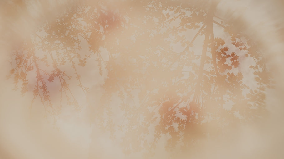 How Embracing Ecofriendly Skincare Can Revolutionize Your Routine